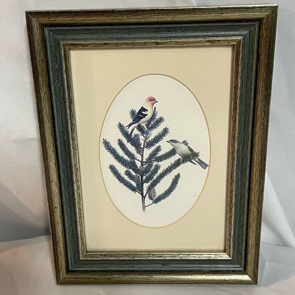 Ray Harm Western Tanager Print - Framed